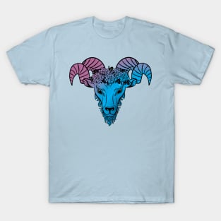 Aries T-Shirt